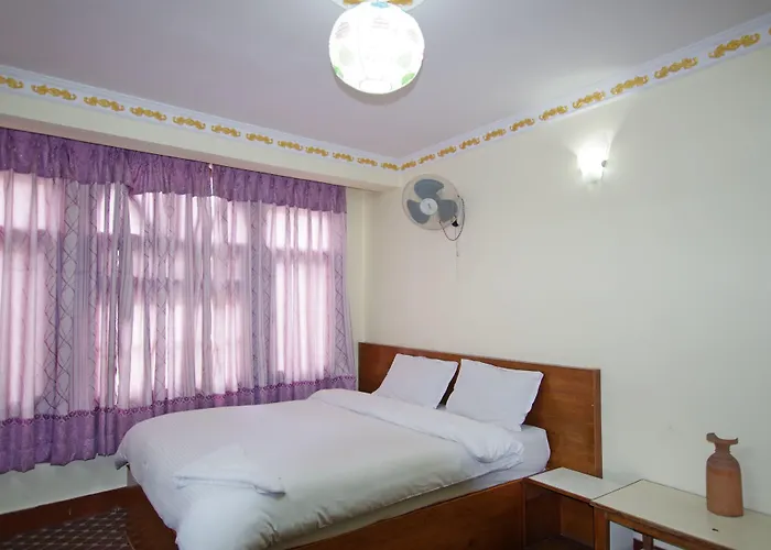 Pomelo House 3*